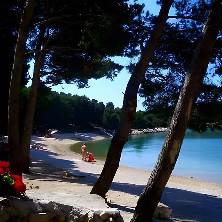 Mediteran 41729 Διαμέρισμα